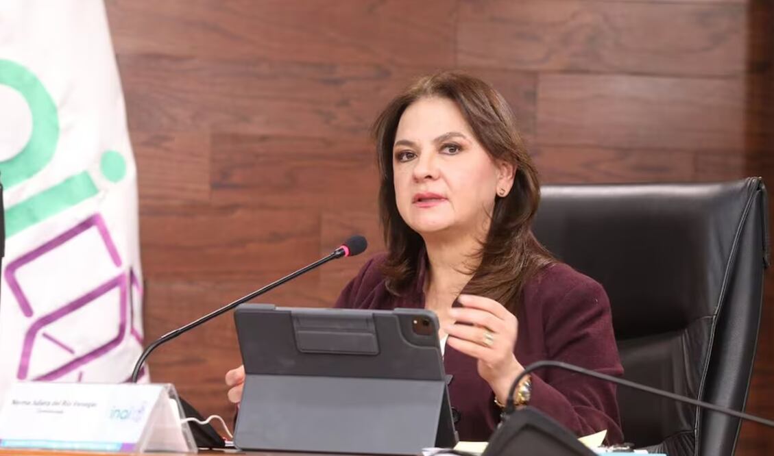 Norma Julieta del Río, comisionada del INAI. Foto: Especial