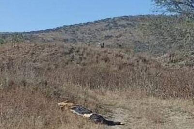Hallan un cadáver decapitado en Atotonilco de Tula