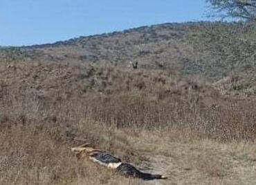 Hallan un cadáver decapitado en Atotonilco de Tula