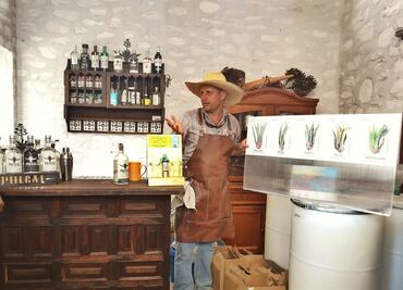 Destilados del Valle del Mezquital se posicionan a nivel nacional