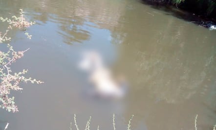 Hallan cuerpo en canal de riego de Chilcuautla