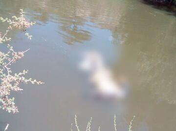Hallan cuerpo en canal de riego de Chilcuautla