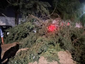 Se registran ráfagas de viento de hasta 30 kilómetros por hora en Santiago Tulantepec