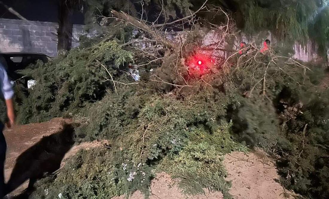 Solo se registraron daños materiales Foto: Especial