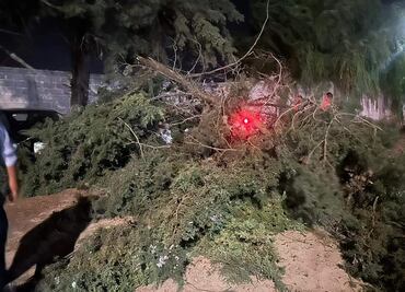 Se registran ráfagas de viento de hasta 30 kilómetros por hora en Santiago Tulantepec