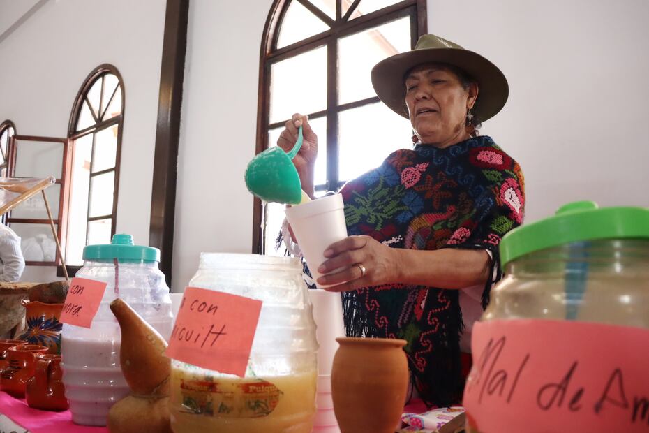 Hidalgo consolida su liderazgo en producción pulquera con apoyos estratégicos al campo | Foto: Agricultura Hidalgo