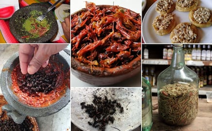 Insectos comestibles: los sabores ancestrales que mantienen viva la gastronomía mexicana