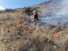 Controlan incendio forestal en el cerro San Cristóbal, en Pachuca