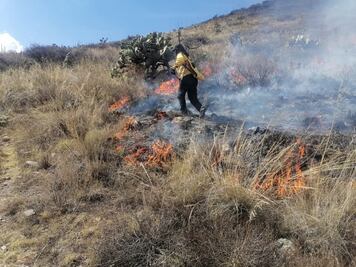 Controlan incendio forestal en el cerro San Cristóbal, en Pachuca