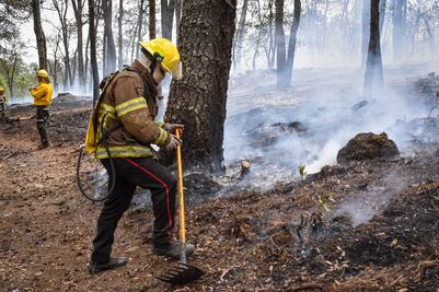 Incendios forestales en Hidalgo ya superaron hectáreas afectadas en 2023