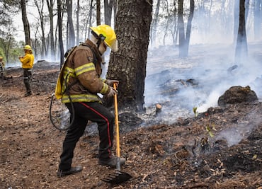 Incendios forestales en Hidalgo ya superaron hectáreas afectadas en 2023