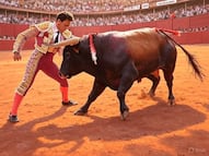 Congreso de Hidalgo inicia proceso para dictaminar iniciativa contra corridas de toros
