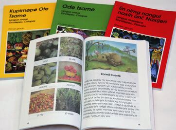 Entregará la SEP más de tres millones de libros de texto en lenguas