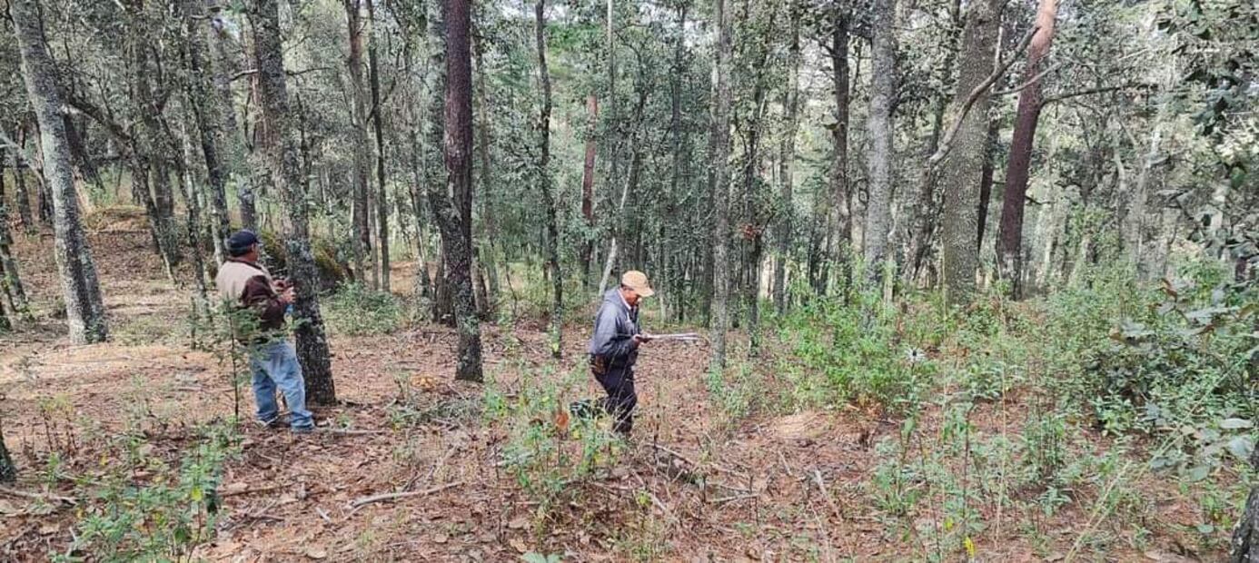 Silvicultores hidalguenses atentos ante el inició de calor por incendios forestales | Foto: Especial