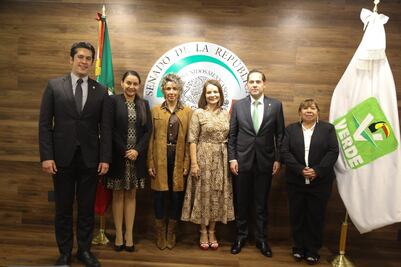 La senadora Nuvia Mayorga se va al Partido Verde Ecologista