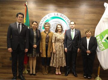 La senadora Nuvia Mayorga se va al Partido Verde Ecologista