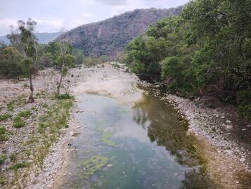Reportan sequía moderada en 14 municipios de la Sierra y Huasteca de Hidalgo