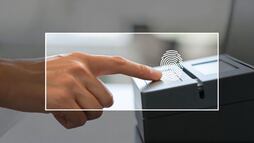 CURP biométrica: guía práctica para adultos mayores en México