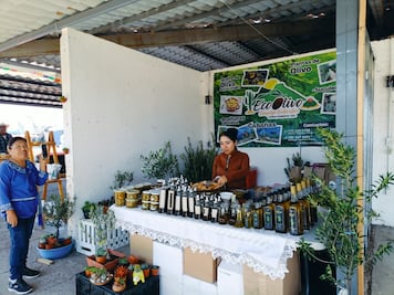 Expo Agroalimentaria Hidalgo 2024 impulsa alianzas y comercialización en su primera edición