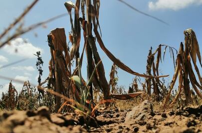Se espera que huracanes y frentes fríos resuelvan sequía: Conagua