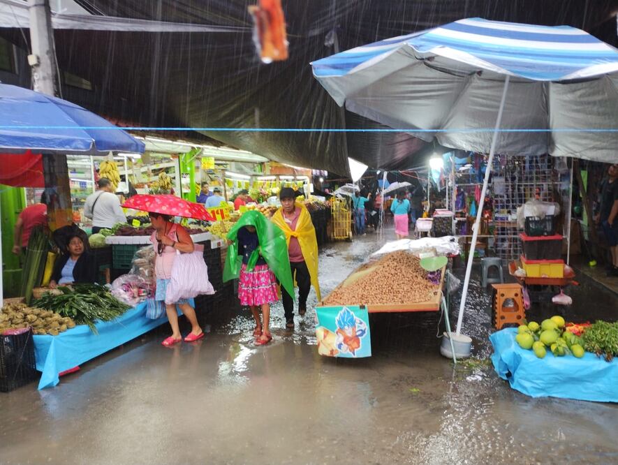 Foto: Francisco Bautista