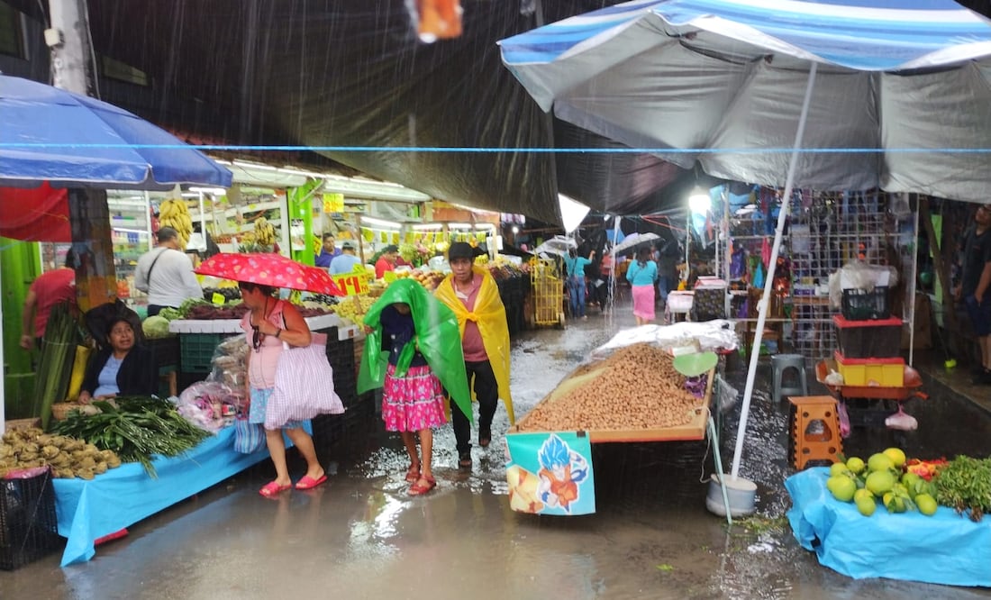 Foto: Francisco Bautista