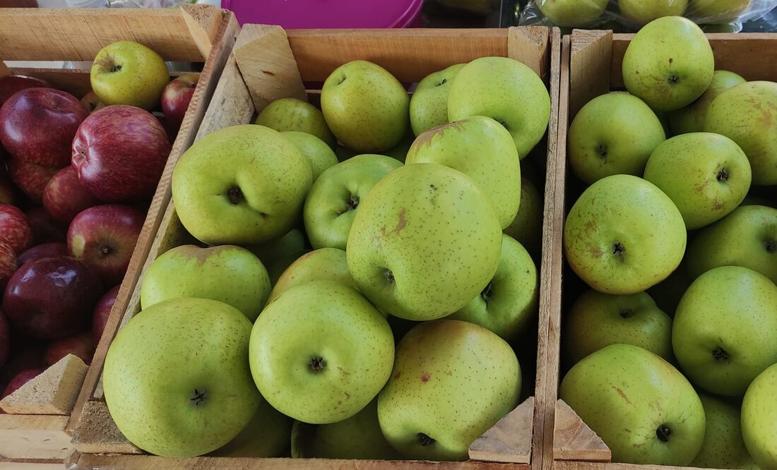 Celebran la tercera feria regional de la Manzana I Foto: Gobierno de Ixmiquilpan