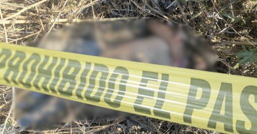 Encuentran cuerpo sin vida en Tlahuelilpan; podría ser víctima de atropellamiento