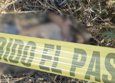 Encuentran cuerpo sin vida en Tlahuelilpan; podría ser víctima de atropellamiento