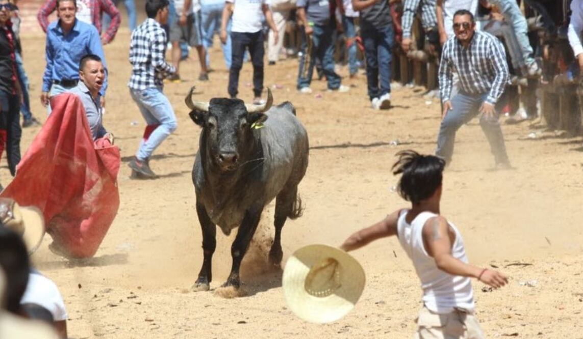 Esta tradición donde sueltan por la calle toros de lidia, surgió en Hidalgo en el siglo XIX, con la instalación de la fábrica Santiago Textil, dado que sus dueños eran españoles I Foto: Grisel Lira
