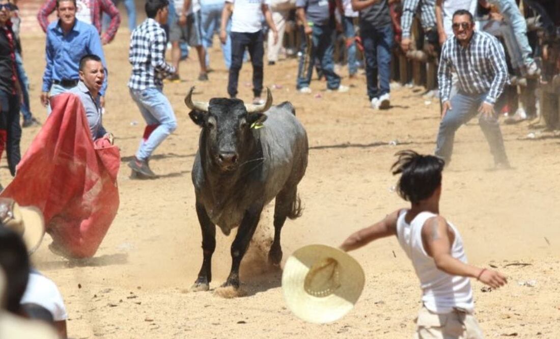 Esta tradición donde sueltan por la calle toros de lidia, surgió en Hidalgo en el siglo XIX, con la instalación de la fábrica Santiago Textil, dado que sus dueños eran españoles I Foto: Grisel Lira