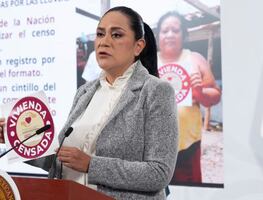 Bienestar inicia censo casa por casa en estados afectados por las lluvias; alistan primeros apoyos para limpieza y reconstrucción