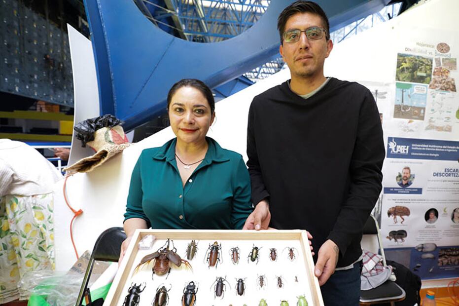 Libélulas, aliadas naturales para evaluar la salud de los ecosistemas acuáticos | Foto: UAEH