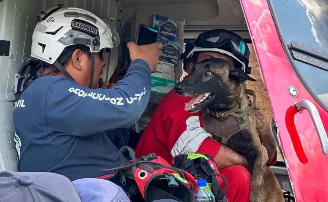 De la CDMX, Pingo ha colaborado con el BYRk y la UEPC tras destrozos por las lluvias |Foto: Especial