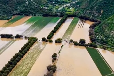 Maíz, frijol, aguacate y nuez: los cultivos más golpeados por la Perturbación Tropical