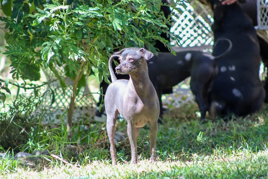 Cuidar es también preservar | Foto: Josué Ortiz