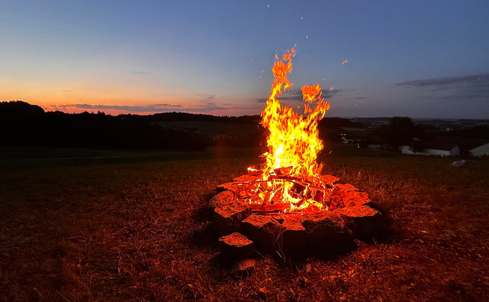 Aumentan incendios de pastizales en Hidalgo; van 86 en lo que va del año | Foto: Pixabay