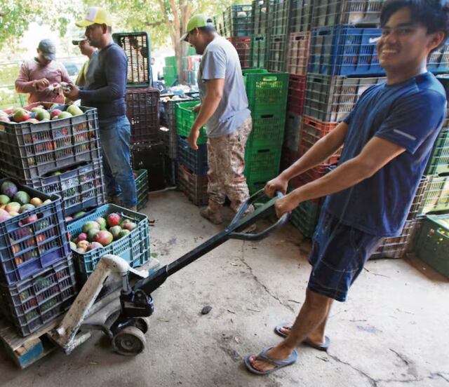 PIB agrícola en México por debajo del promedio en ALC, según un estudio del Banco Interamericano de Desarrollo