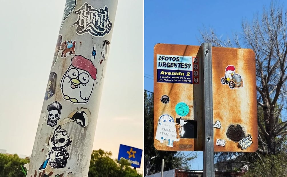 Pollo es Amor celebra 19 años de historia con exposición gráfica y actividades en Pachuca | Facebook: pollo es Amor