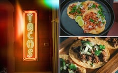 Buscan nombre para la nueva mascota de la Gran Feria del Taco Hidalgo 2026