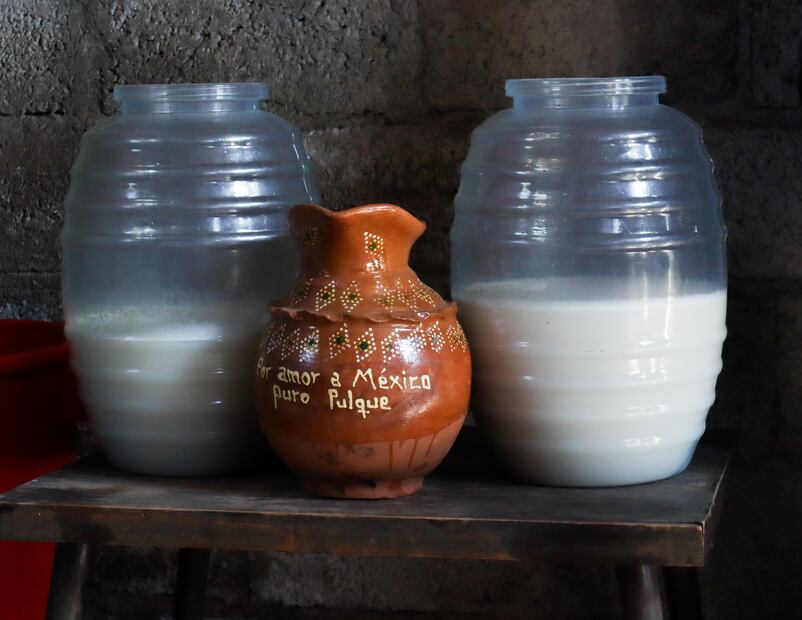 Tlachiqueros de Jalapilla: el arte del pulque y la vida entre magueyes | Foto: Josué Ortiz