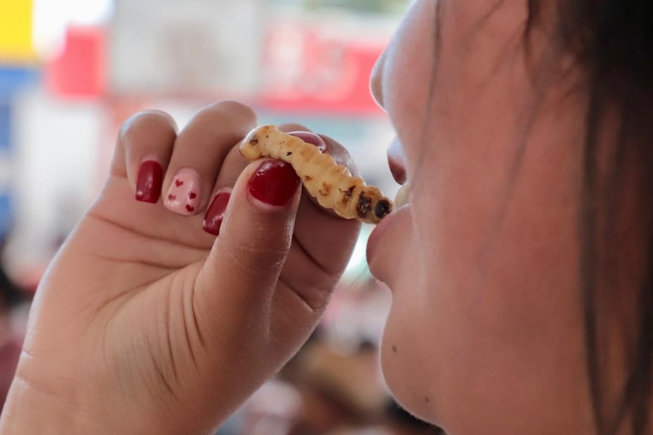 Exquisita combinación de olores y sabores en la Muestra Gastronómica de Santiago de Anaya | Foto: Luis Soriano