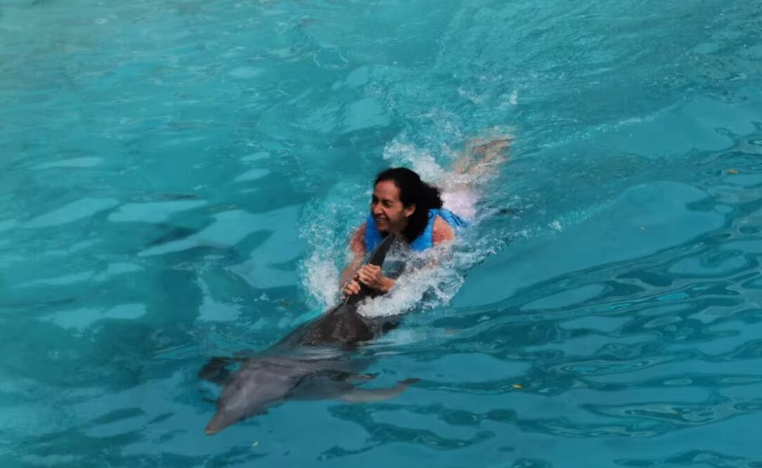 Profepa respalda propuesta que prohíbe operación de delfinarios en México; “es una práctica que ya no podría prevalecer”, asegura Mariana Boy. Foto: Adriana Varillas