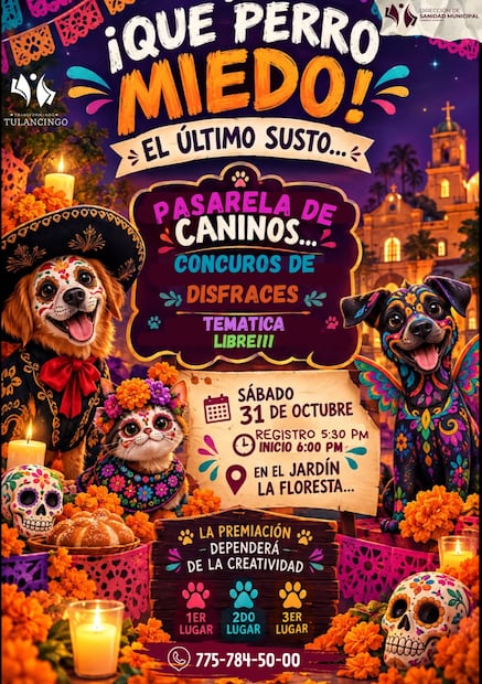 ¡Tulancingo tendrá altar para mascotas y concurso de disfraces! Cortesía: ayuntamiento de Tulancingo