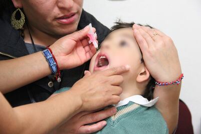 Salud de Hidalgo recomienda desparasitaciones periódicas para prevenir enfermedades