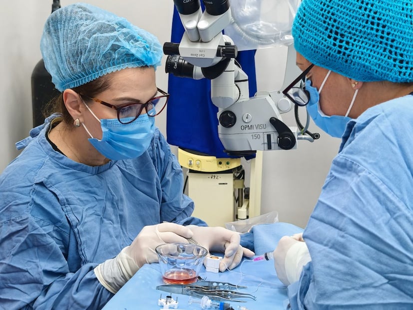 Reactivan trasplantes de córnea en Pachuca; dos jóvenes recuperan la vista | Foto: especial