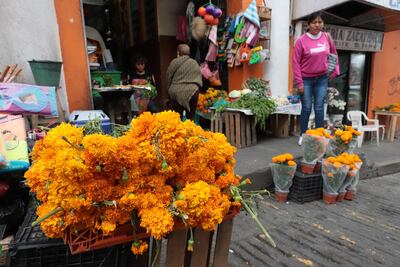 Flor de cempasúchil, su precio por las nubes