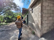 Dengue retrocede en Hidalgo; casos caen casi 90% durante 2026