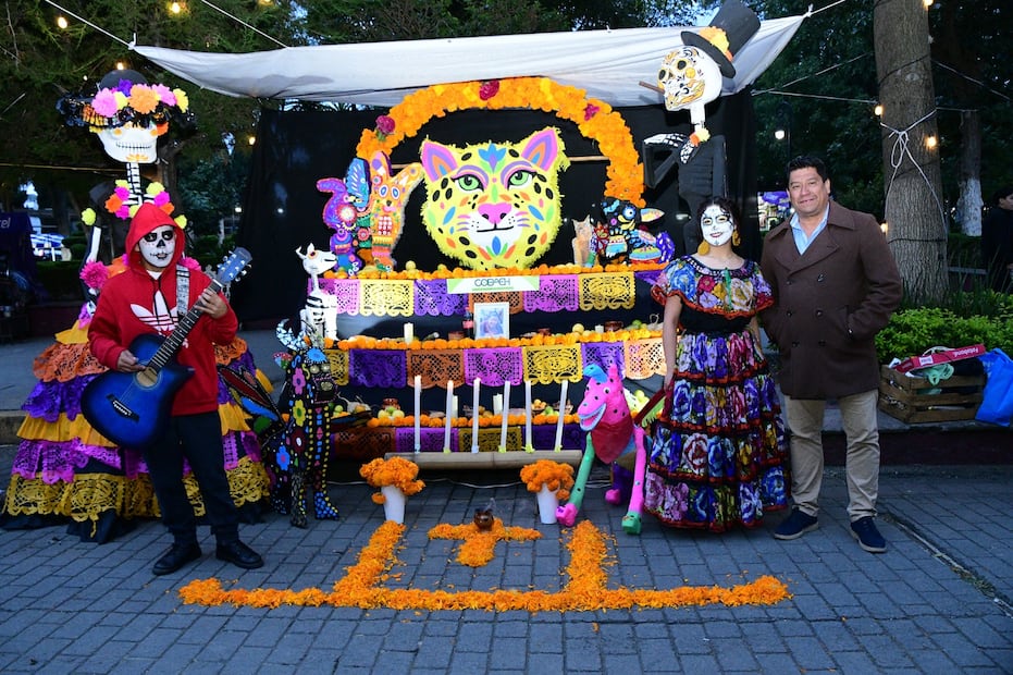 Una veintena de altares permanecerá en exhibición hasta el 1 de noviembre, como parte de la Fiesta de los Muertos Tulancingo 2026 I Foto: Especial