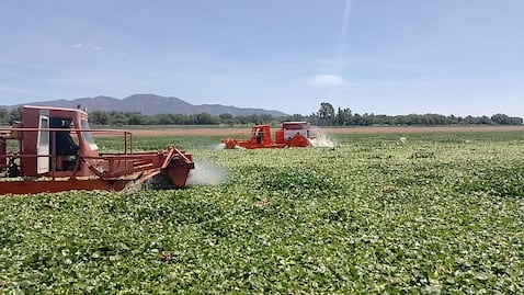Presa Endhó: maquinaria suma dos meses sin operar y la plaga alcanzó a 21 comunidades